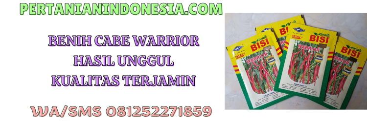 benih,warrior,cabe warrior,warrior cap kapal terbang,pertanian indonesia